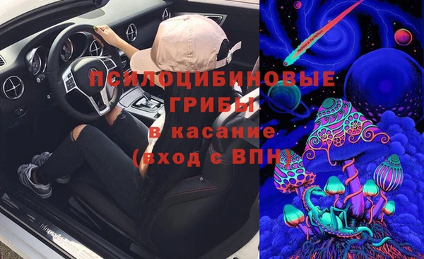 а пвп мука Гатчина