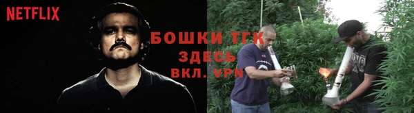 гашик Переславль-Залесский