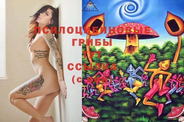 MDMA Пестово