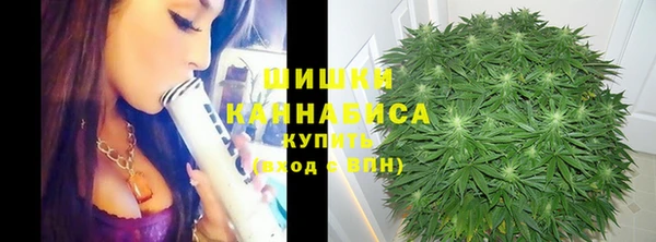 гашик Переславль-Залесский