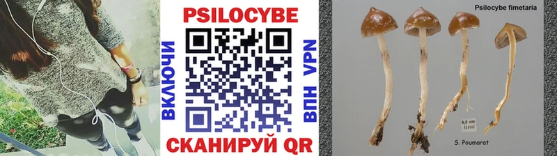 Галлюциногенные грибы мухоморы  Грязи 