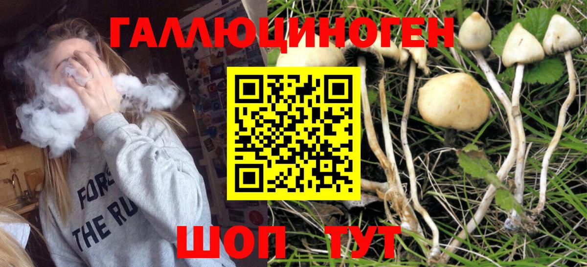 Грязи  Псилоцибиновые грибы прущие грибы  Вход с VPN 