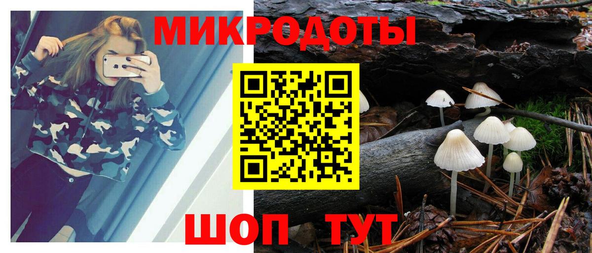 Псилоцибиновые грибы Psilocybine cubensis Грязи