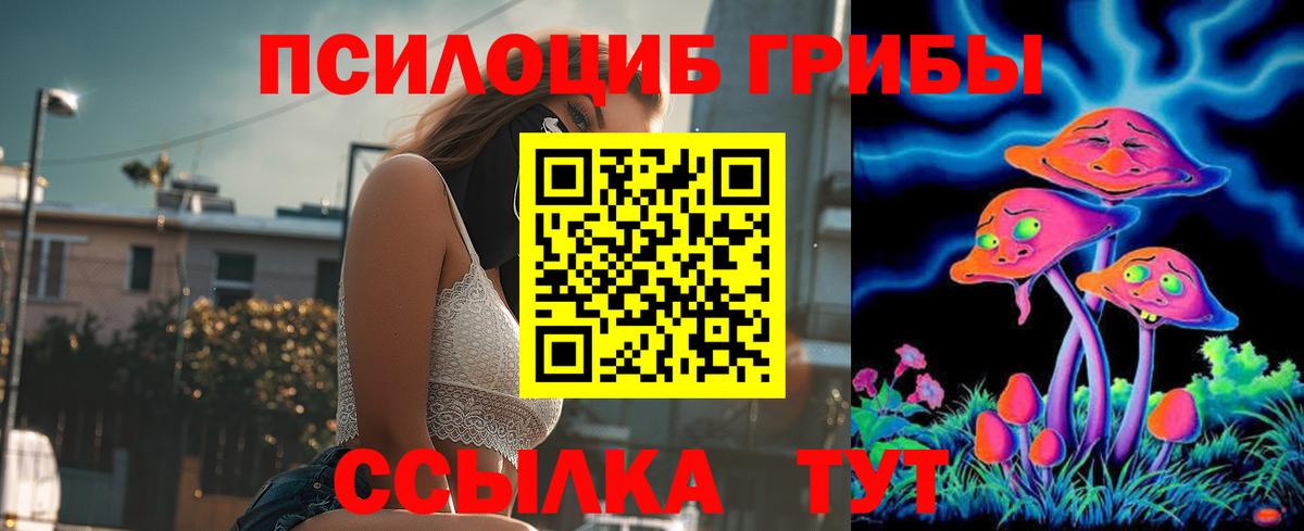 Галлюциногенные грибы прущие грибы  Грязи 